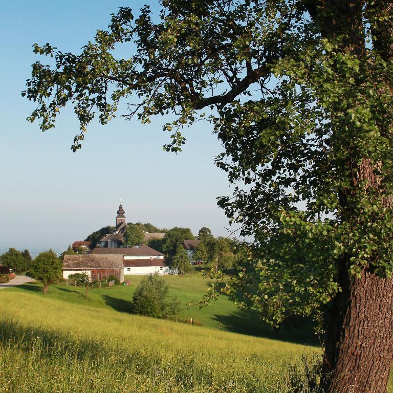 Gasthof Zur Linde Hotel Neuhofen an der Ybbs Exterior photo